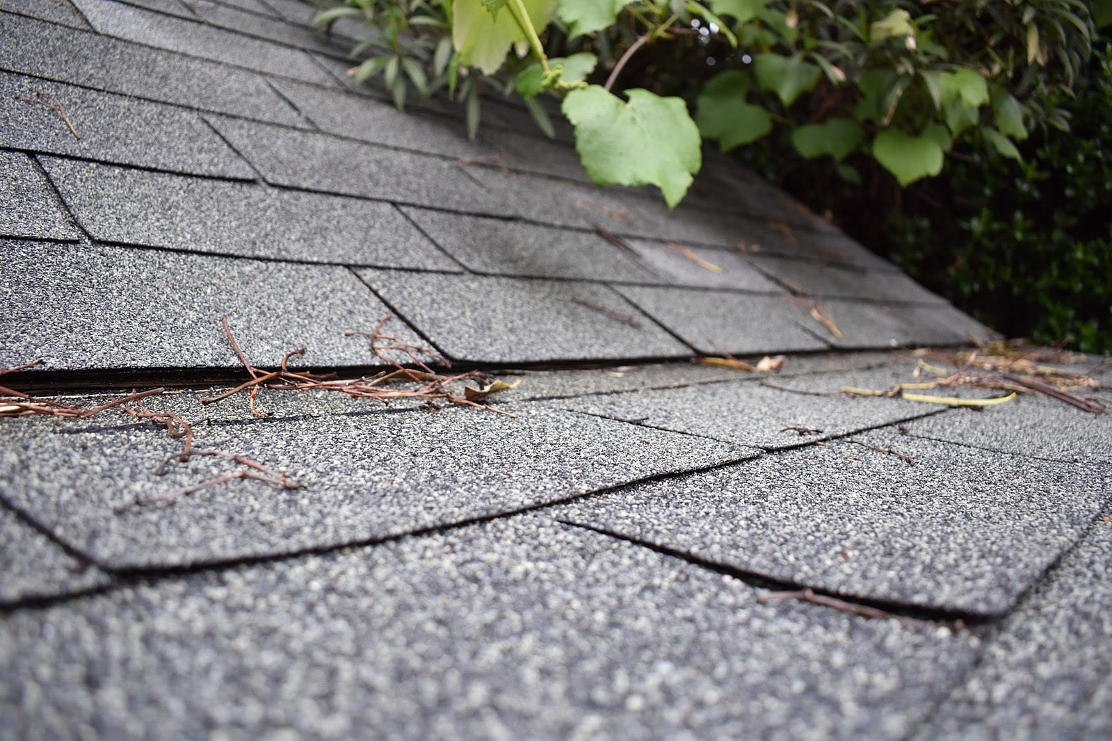 1599px shingle roof 2 2017 04 21
