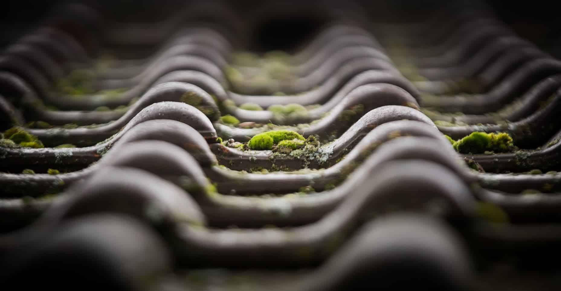Gros plan sur une toiture recouverte de mousse en Seine-et-Marne, près de Claye-Souilly